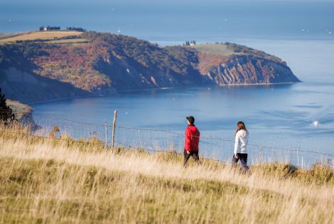 Zakaj je januar v Slovenski Istri super ideja za pobeg od vsakodnevnega vrveža
