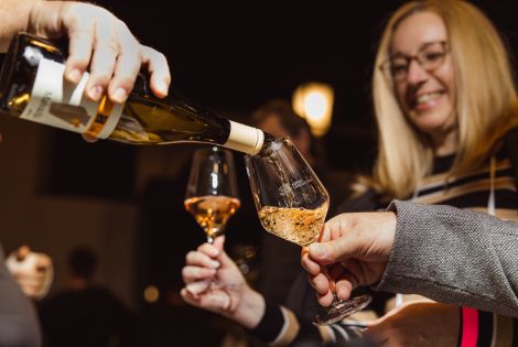 Ko zadiši po oljkah in vinu: jesen v Istri